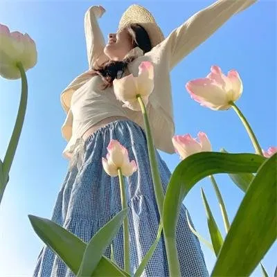 悬疑动画神作《未麻的部屋》今敏烧脑经典：偶像转型背后的精神分裂，影响无数好莱坞大片